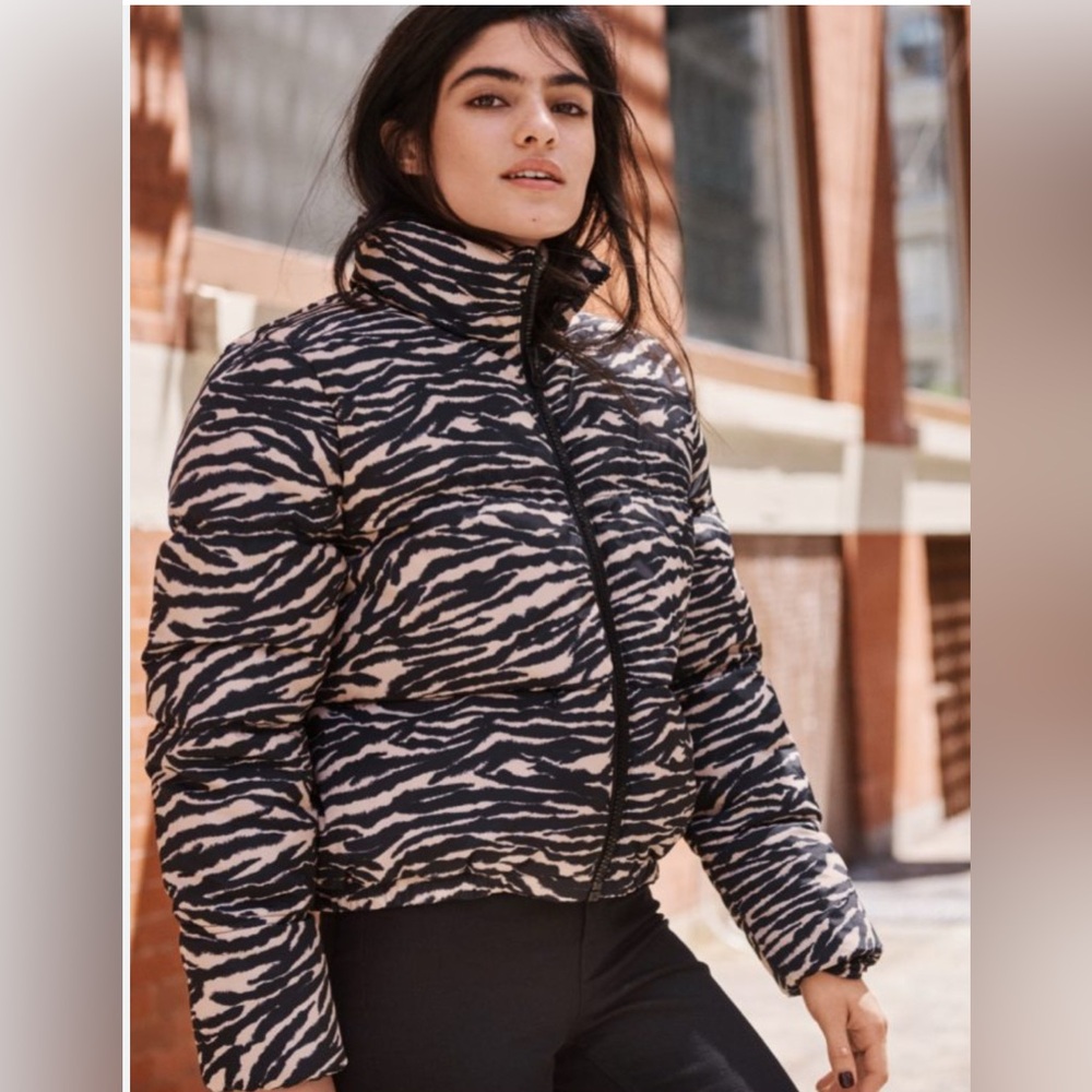 H&M Zebra Print Puffer Jacket